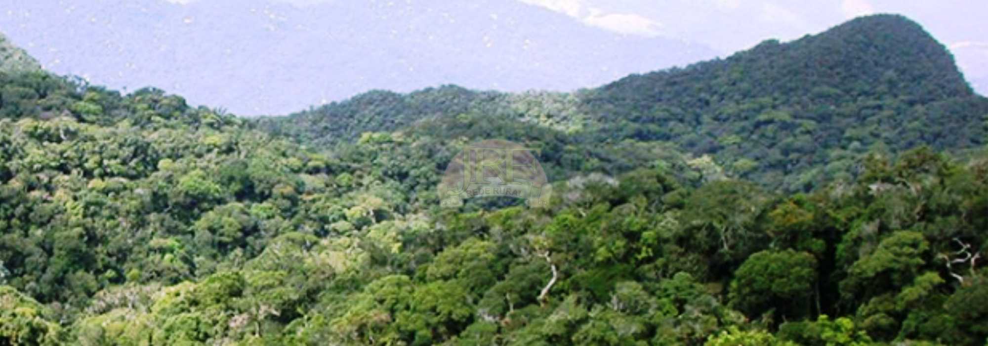 Vendo – Areas Rurais – 17.51 – VT-PR