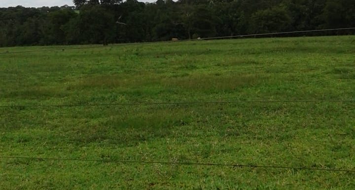 PHOTO-2019-06-20-20-36-40