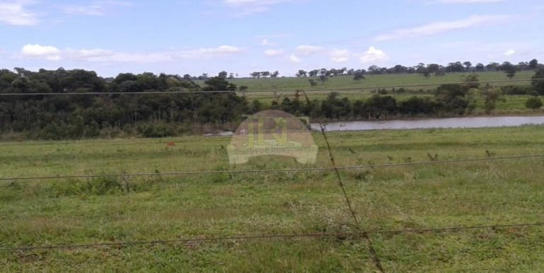 PHOTO-2019-06-20-20-36-45