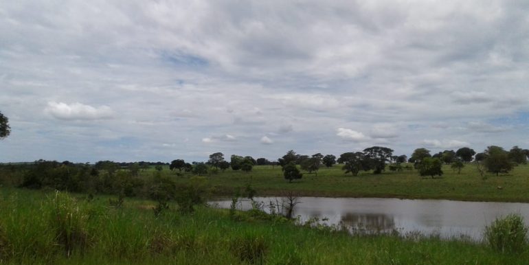 PHOTO-2019-06-20-20-36-49