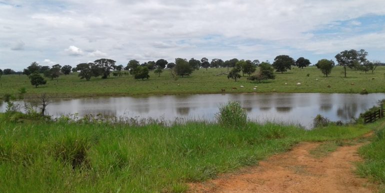 PHOTO-2019-06-20-20-36-56