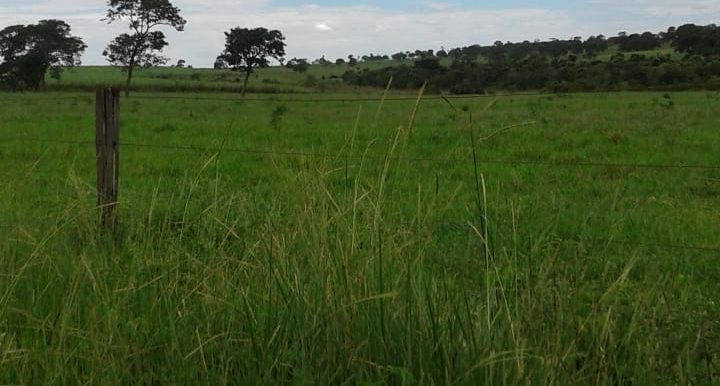 PHOTO-2019-06-20-20-37-01