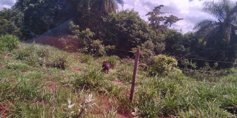 PHOTO-2020-08-25-19-28-31_1