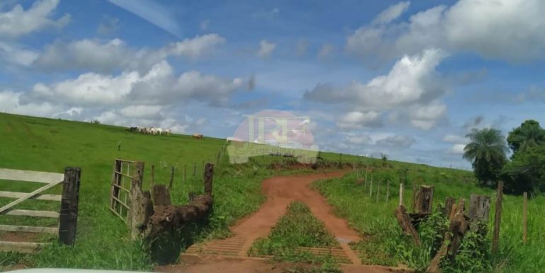 PHOTO-2020-08-25-19-28-51