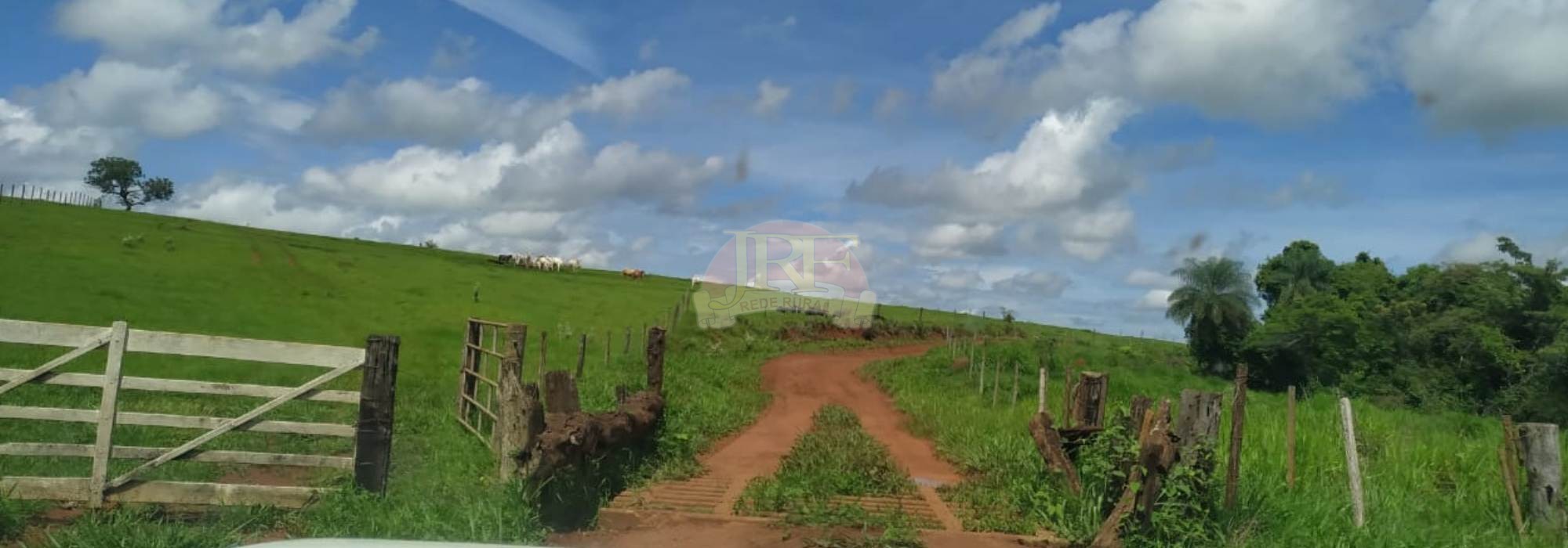 Fazenda – Venda – VT – 1.126